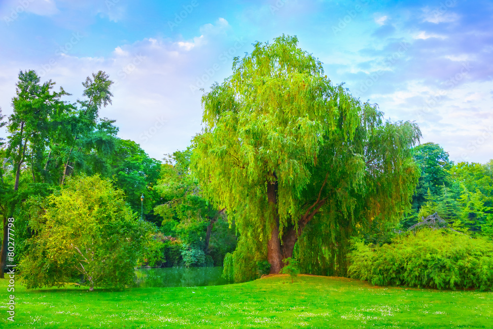 Park Park