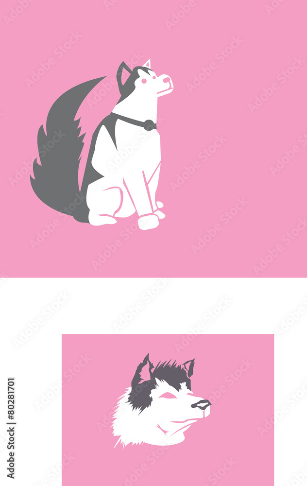 Fototapeta premium Dog