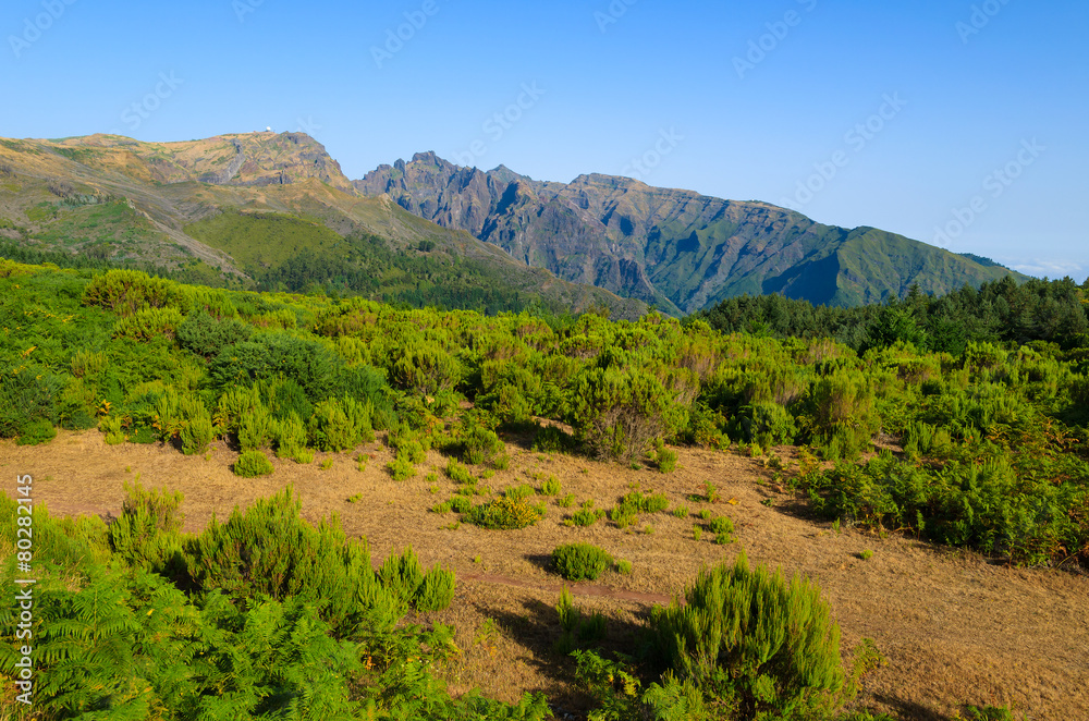 Green mountain landscape of Madeira island, Portugal