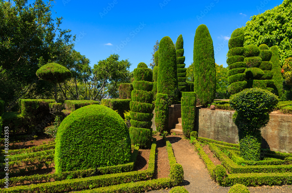 Monte tropical gardens in Funchal town, Madeira island, Portugal Monte tropical gardens in Funchal town, Madeira island, Portugal