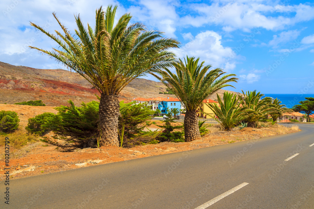 Road with palm trees to Portuguese village, Madeira island Road with palm trees to Portuguese village, Madeira island