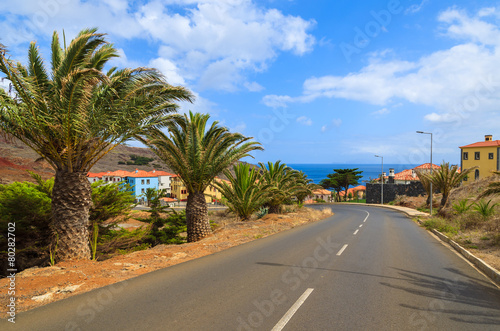 Road with palm trees to Portuguese village, Madeira island