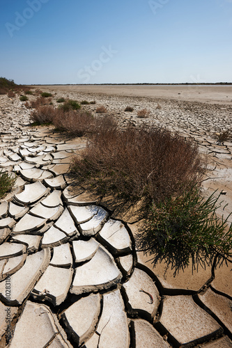 Canvas-taulu desertification