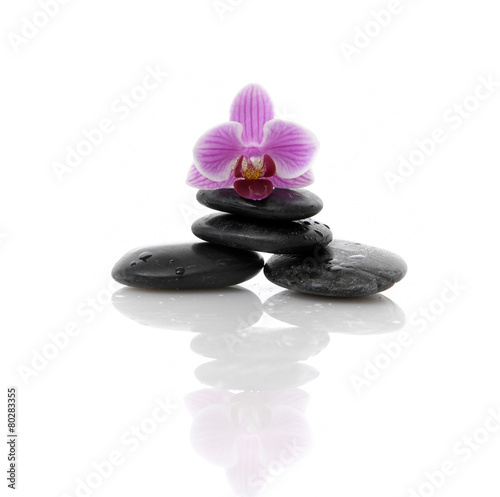 Violet orchid flower on black spa stones.