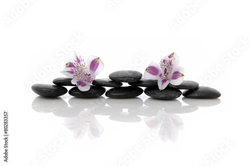 Spa concept with two pink orchid on stone with reflection