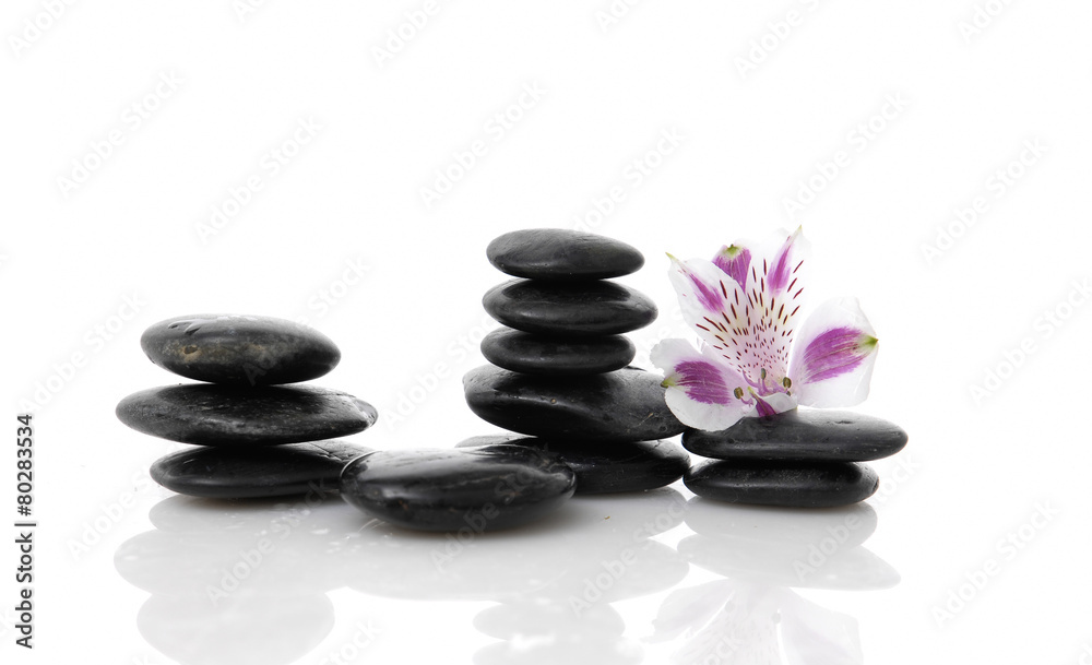 Beautiful orchid on stacked stone with reflection Beautiful orchid on stacked stone with reflection