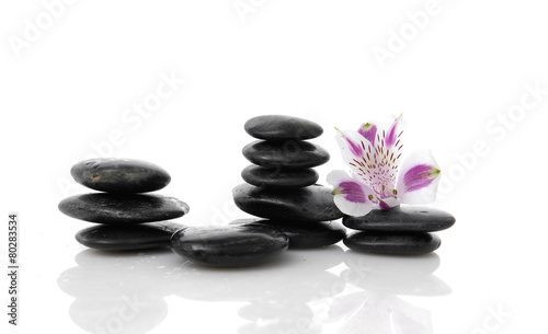 Beautiful orchid on stacked stone with reflection