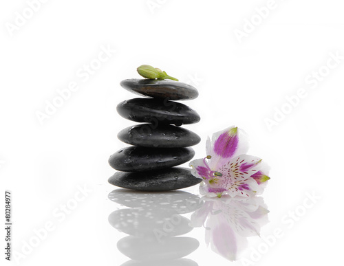 orchid flower on black stacked stones.