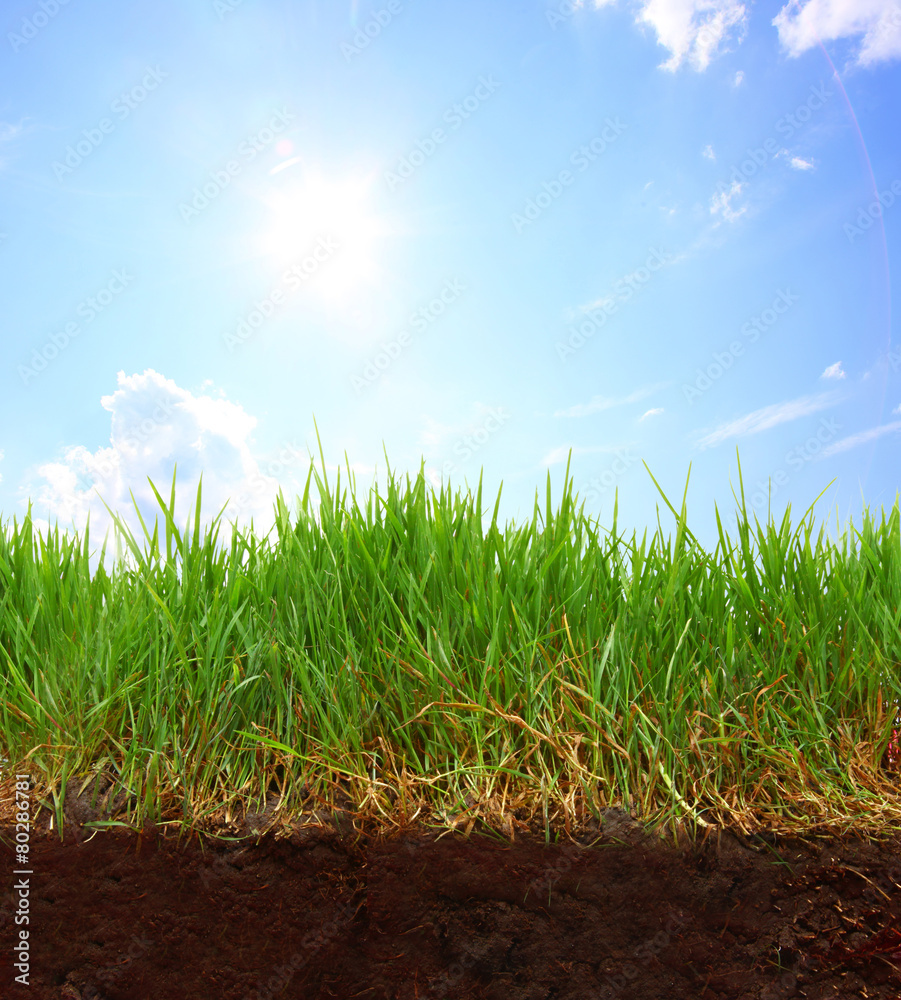 Obraz premium Gartenarbeit