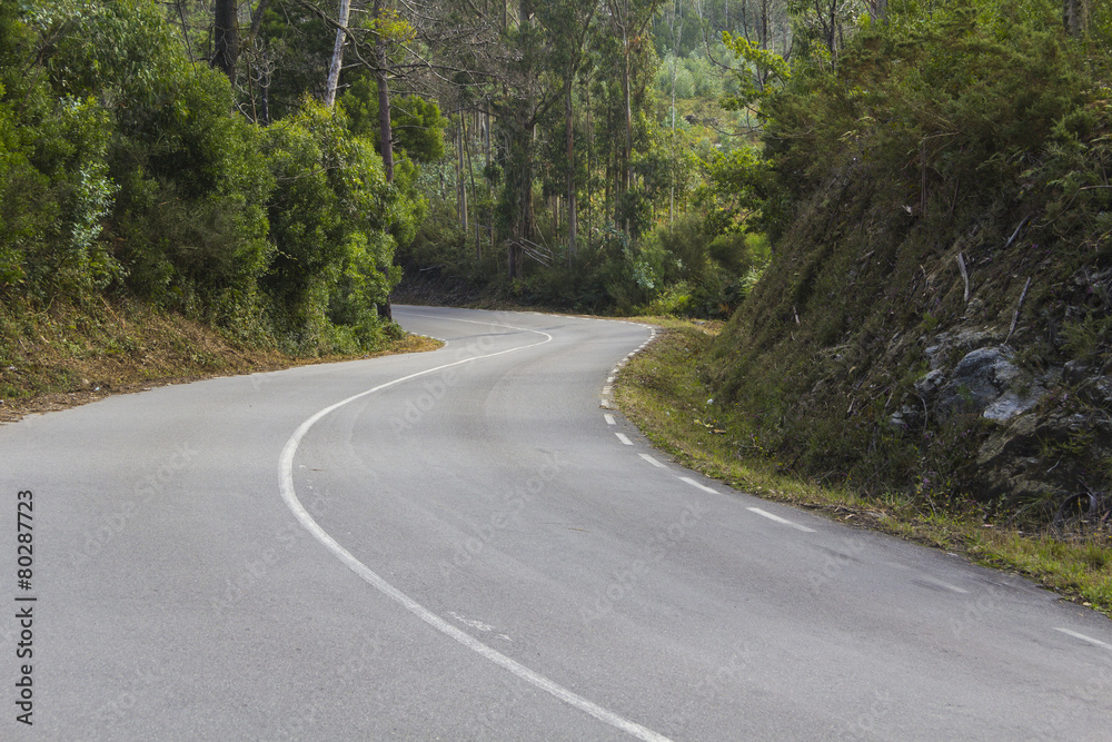 Fototapeta premium Carretera