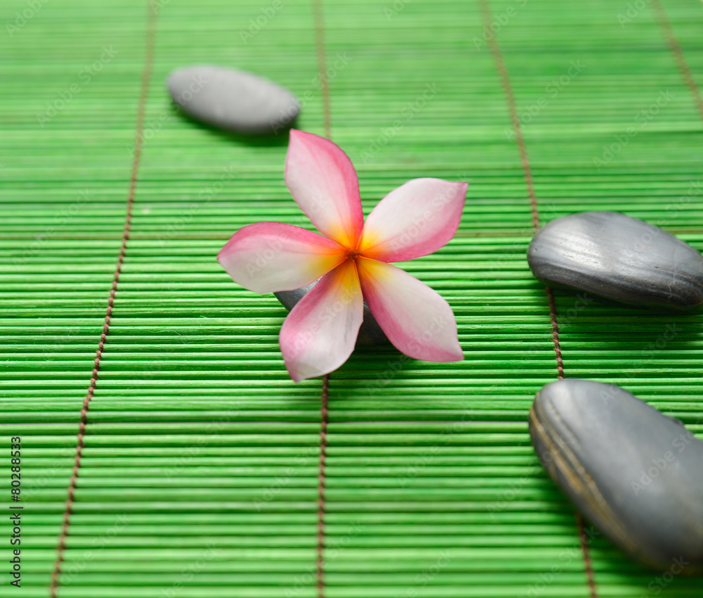 Set of stones with pink frangipani on green mat
Set of stones with pink frangipani on green mat
