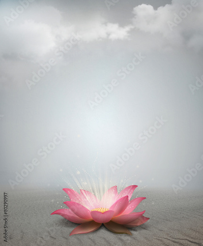 Lotus