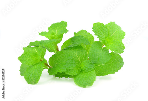 Fresh mint isolated on a white background
