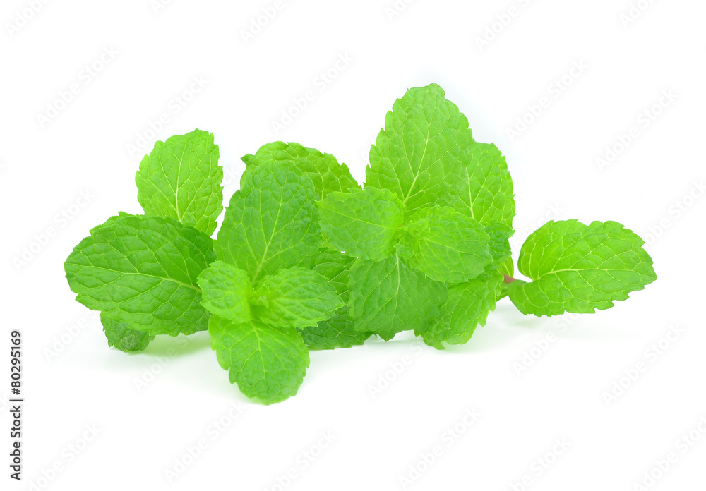 Fresh mint isolated on a white background