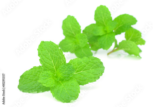 Fresh mint isolated on a white background