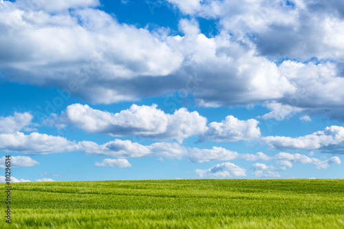 Fototapeta Naklejka Na Ścianę i Meble -  naturlandschaft