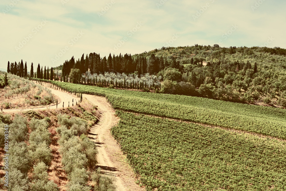 Fototapeta premium Landscape