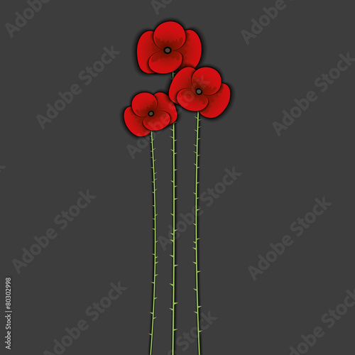 Fototapeta Naklejka Na Ścianę i Meble -  Poppy opium