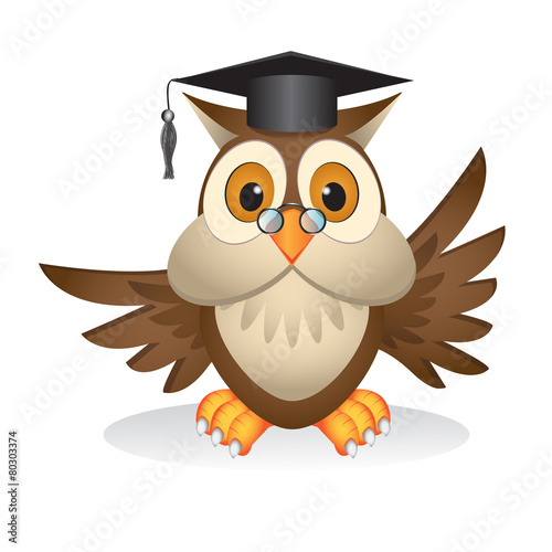 Owl illustration