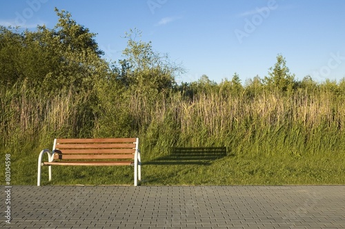 Boardwalk with empty bench