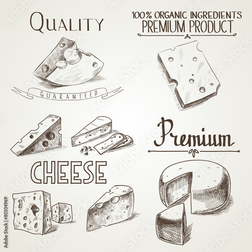 Hand drawn doodle sketch cheese with different premium quality