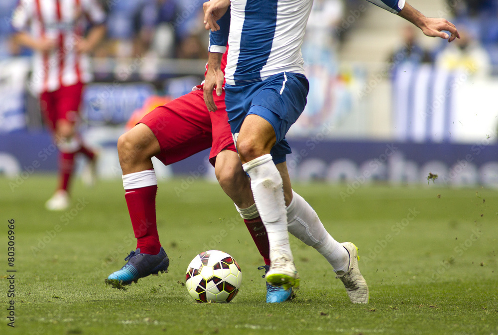Fototapeta premium Futbol. Disputa de balon