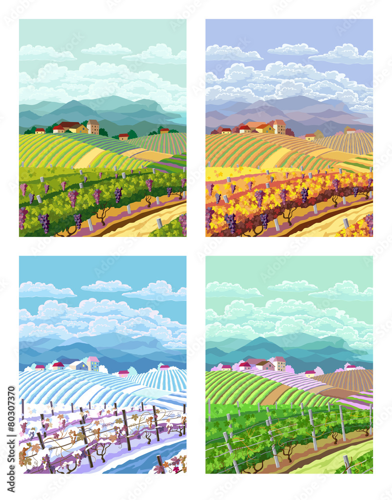 Fototapeta premium Four seasons. Rural landscapes.