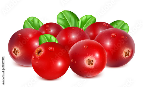 Ripe red cranberries with leaves