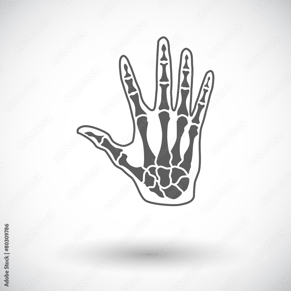 Anatomy hand Anatomy hand