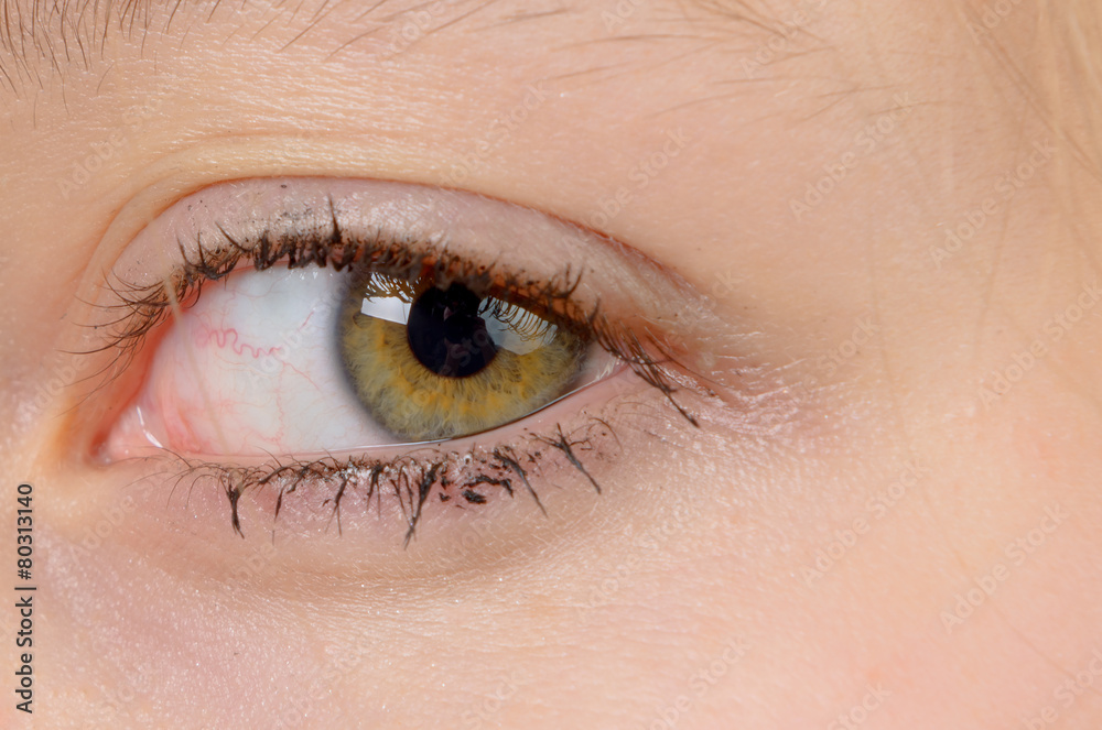 Fototapeta premium close-up of the eye of a girl