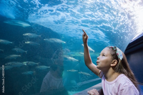 Obraz na plátně Little girl looking at fish tank