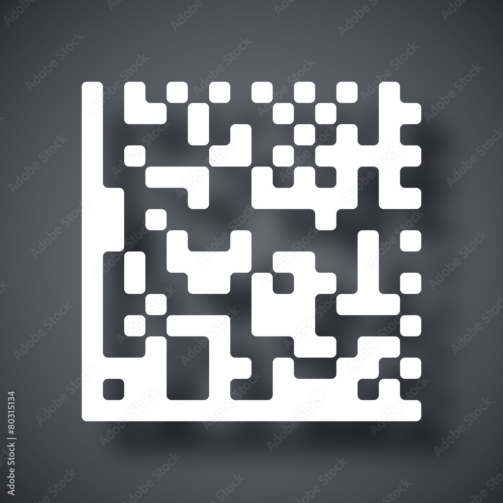 Datamatrix vector icon Datamatrix vector icon