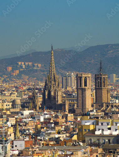 aerial view of barcelona  #80315372