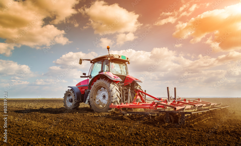 Naklejka premium Farmer in tractor preparing land with seedbed cultivator