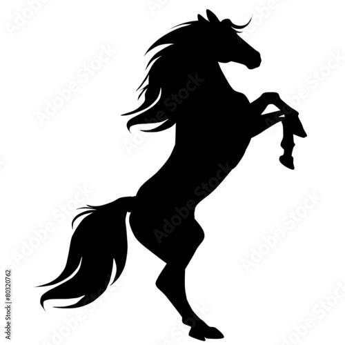 Fototapeta Naklejka Na Ścianę i Meble -  black horse silhouette 16-ill