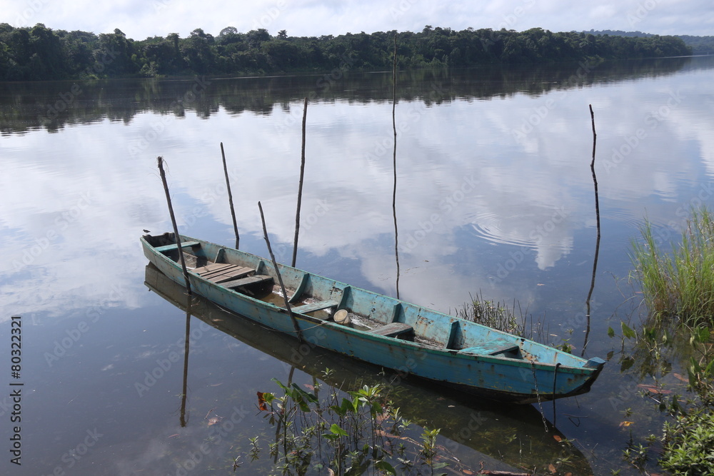 Obraz premium Guyane - Régina - Dec 2014
