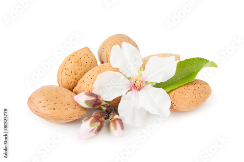 Almond Whith Flower