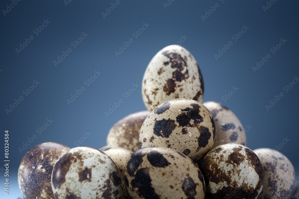 Fototapeta premium Quail eggs