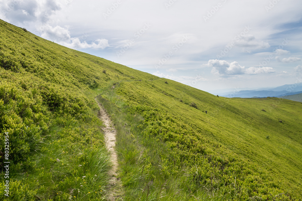 Fototapeta premium mountains landscape