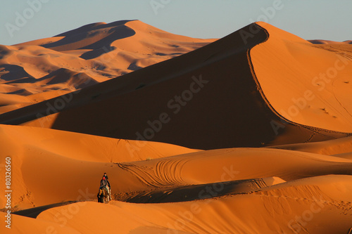 balade en dromadaire dans le d  sert de Merzouga