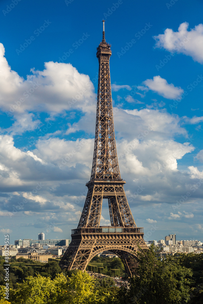 Fototapeta premium Eiffel Tower in Paris, France
