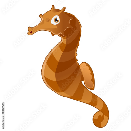 Seahorse