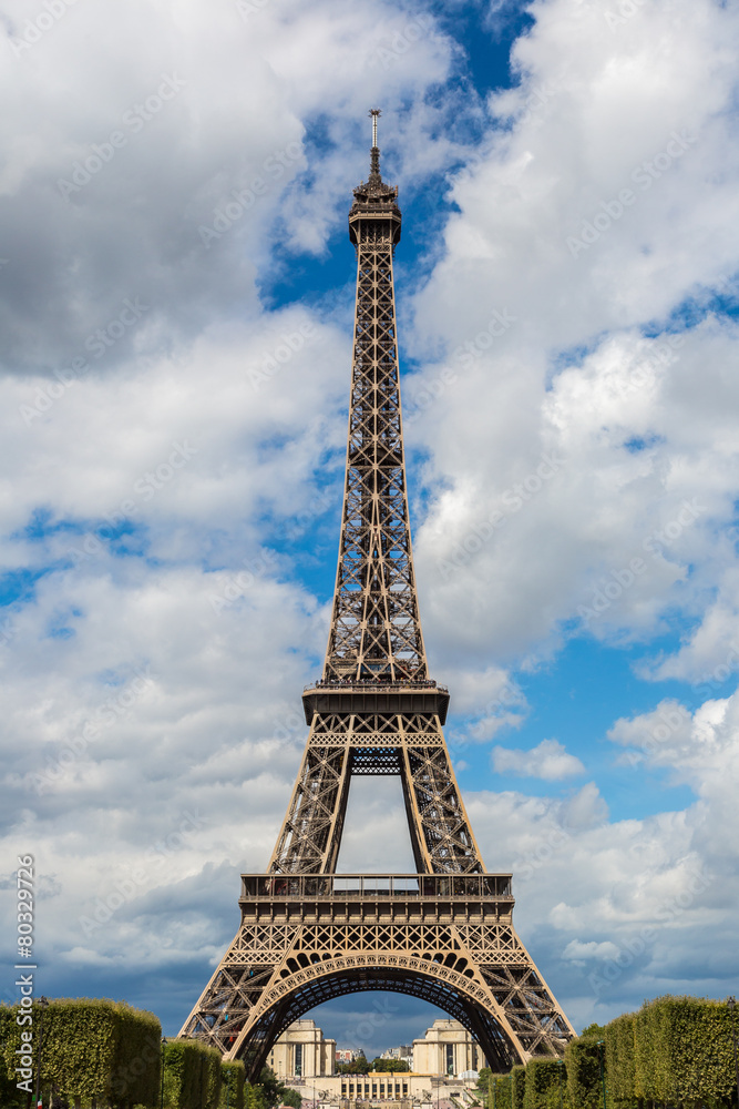 Fototapeta premium Eiffel tower in Paris