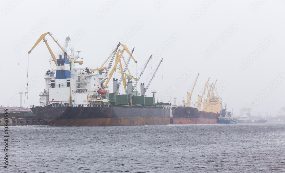 cargo bulk carrier
