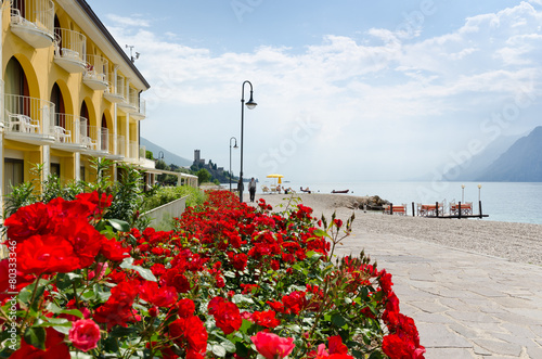 Rosen am Gardasee (Malcesine)