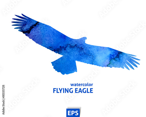 Watercolor flying blue eagle