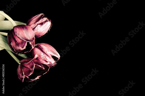 Fototapeta Naklejka Na Ścianę i Meble -  funeral background