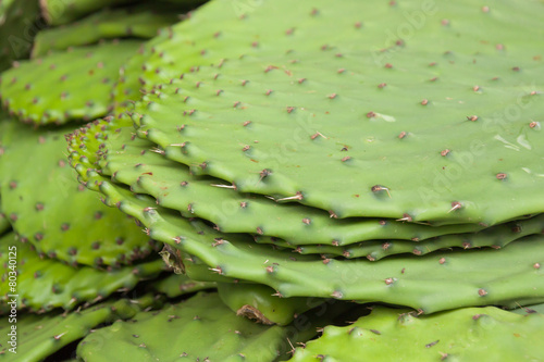 Nopales Cacti For Food