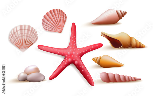 Set of Realistic Colorful Sea Shells and Stones