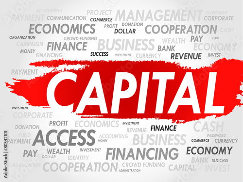 CAPITAL word cloud, business concept